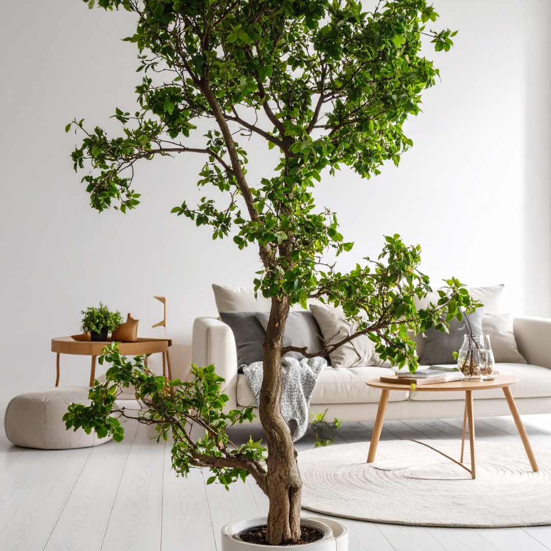 Design Pflanzen