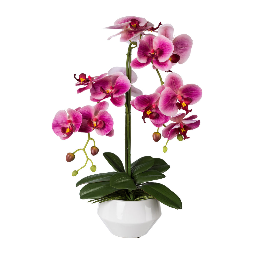 Phalaenopsis, 52cm, fuchsia, Real Touch, in Keramiktopf