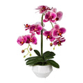 Phalaenopsis, 52cm, fuchsia, Real Touch, in Keramiktopf