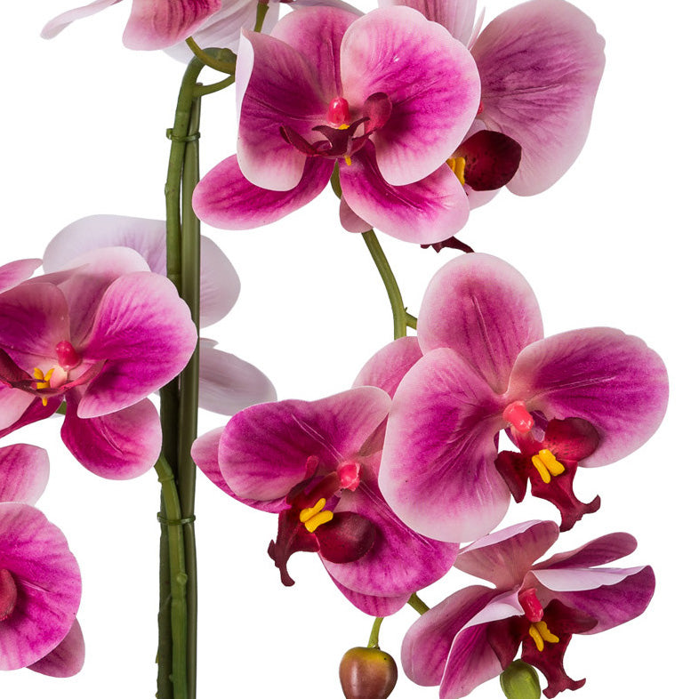 Phalaenopsis, 52cm, fuchsia, Real Touch, in Keramiktopf