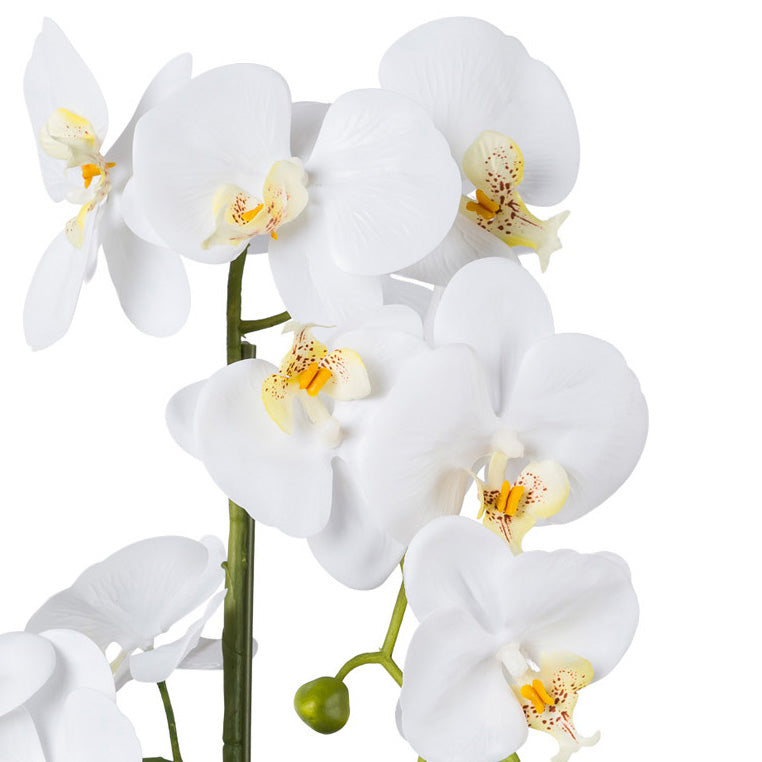 Phalaenopsis, 52cm, weiss, Real Touch, in Keramiktopf