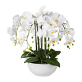 Phalaenopsis, 54cm, weiss, Real Touch, in Keramikschale