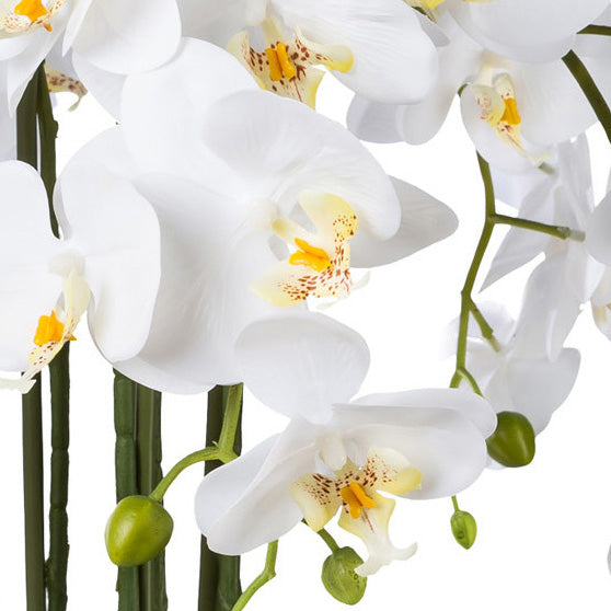 Phalaenopsis, 54cm, weiss, Real Touch, in Keramikschale
