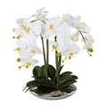 Phalaenopsis x4, 41cm, weiss, in silberner Keramikschale