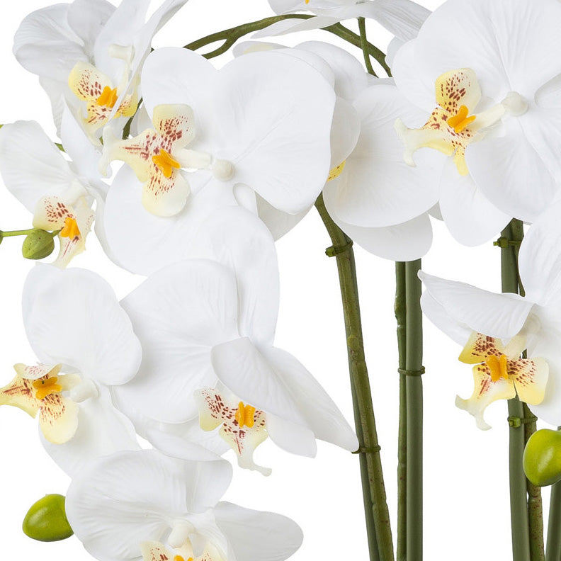 Phalaenopsis x4, 41cm, weiss, in silberner Keramikschale