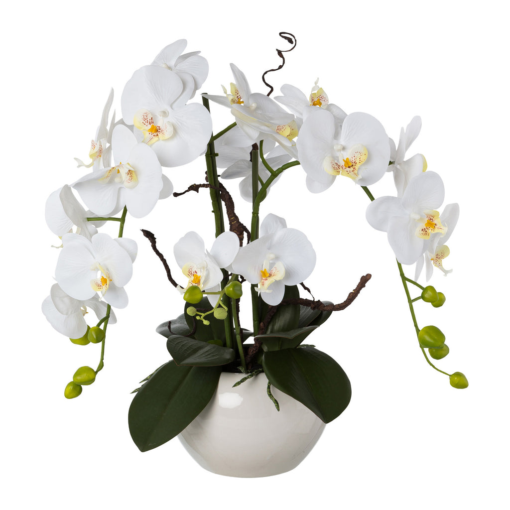 Phalaenopsisarrangement, 55cm, weiss, Real Touch, im weissen Keramiktopf