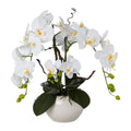 Phalaenopsisarrangement, 55cm, weiss, Real Touch, im weissen Keramiktopf