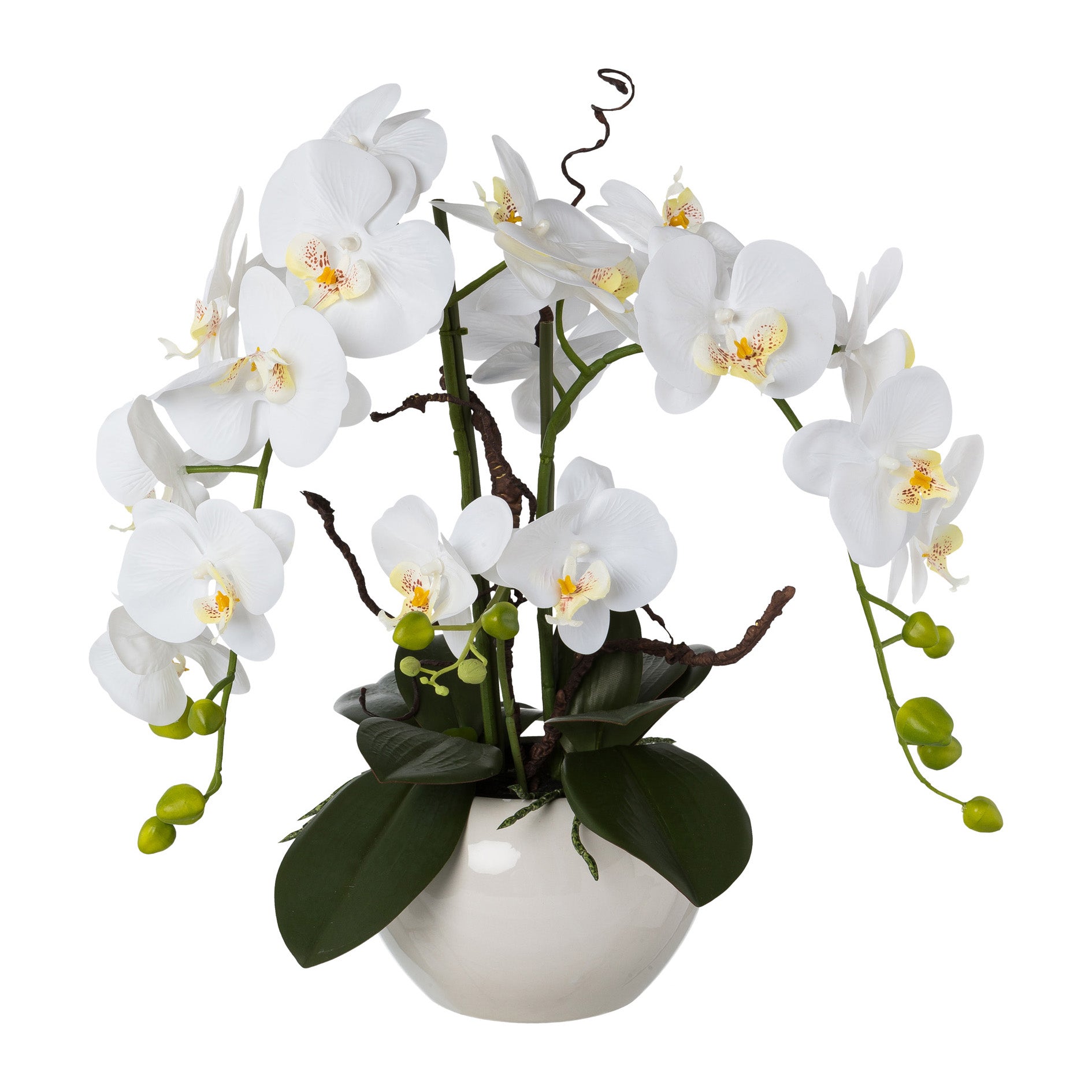 Phalaenopsisarrangement, 55cm, weiss, Real Touch, im weissen Keramiktopf