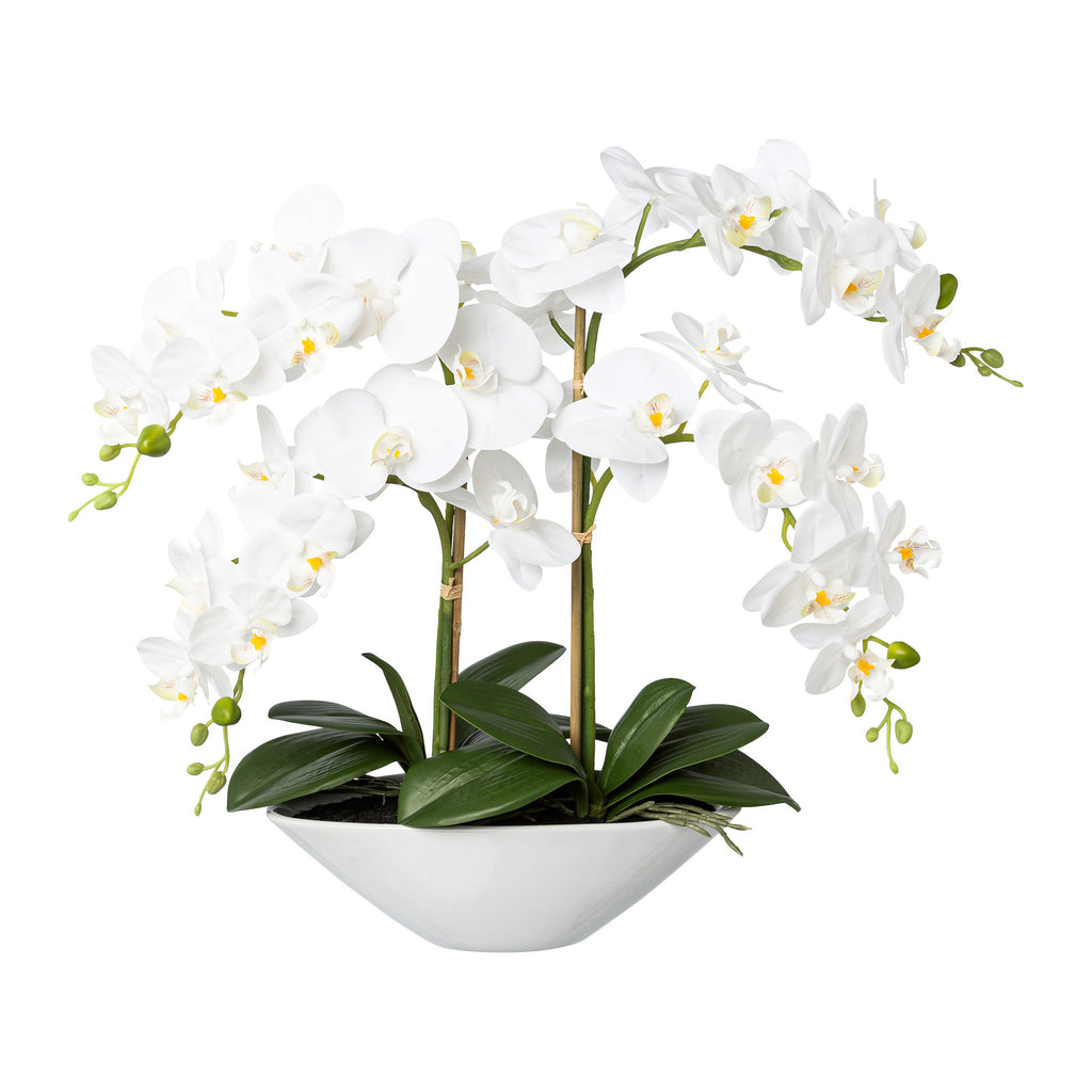 Phalaenopsis, 53cm, weiss, Real Touch, in Keramikschale 30,5x14x9,5cm