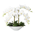 Phalaenopsis, 53cm, weiss, Real Touch, in Keramikschale 30,5x14x9,5cm