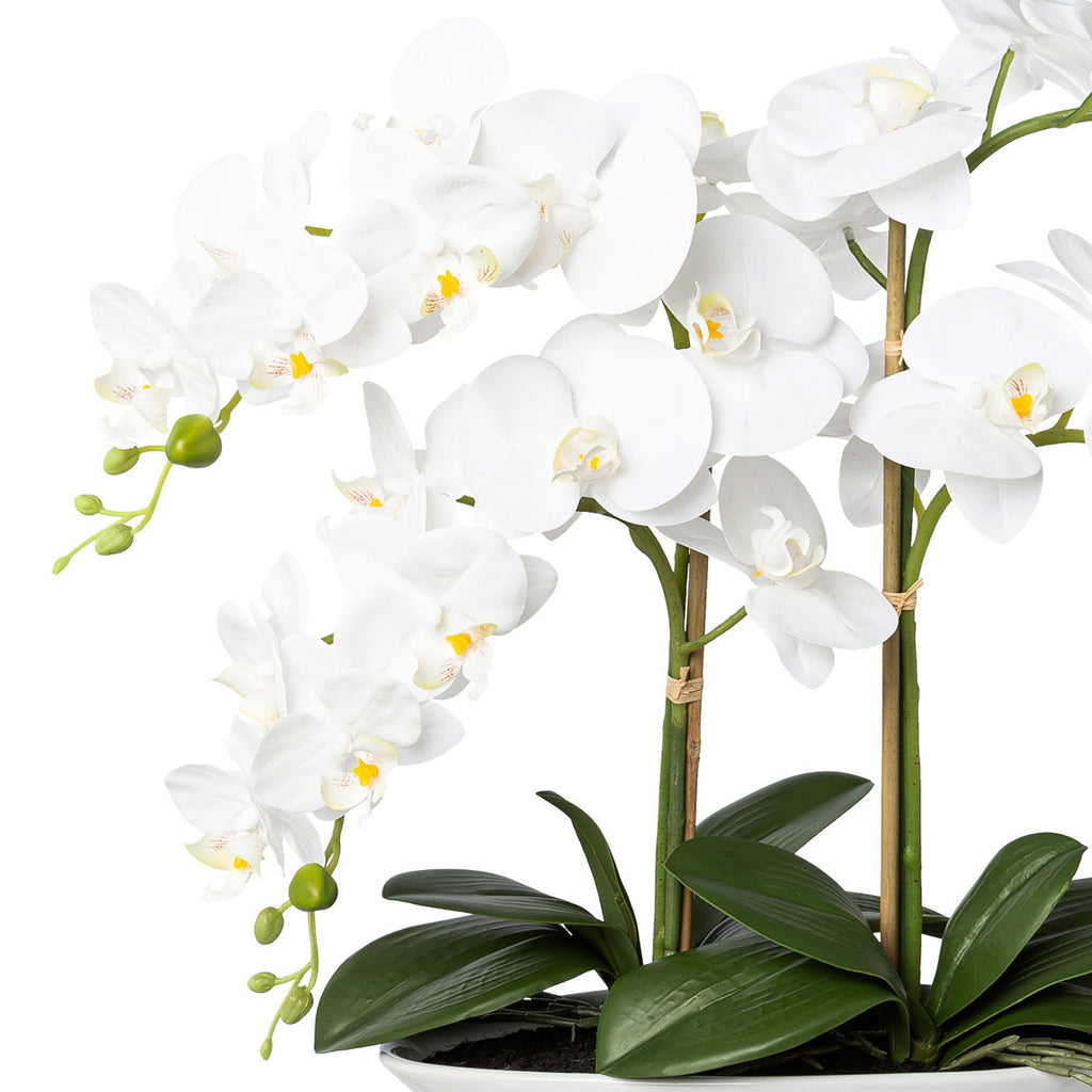 Phalaenopsis, 53cm, weiss, Real Touch, in Keramikschale 30,5x14x9,5cm