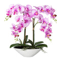 Phalaenopsis, 53cm, orchidee, Real Touch, in Keramikschale 30,5x14x9,5cm