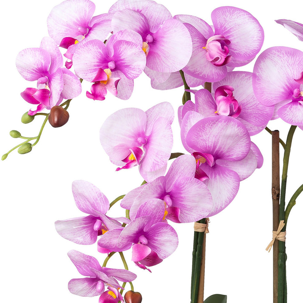Phalaenopsis, 53cm, orchidee, Real Touch, in Keramikschale 30,5x14x9,5cm