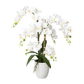 Phalaenopsis, 67cm, weiss, Real Touch, im Keramiktopf 13x15cm