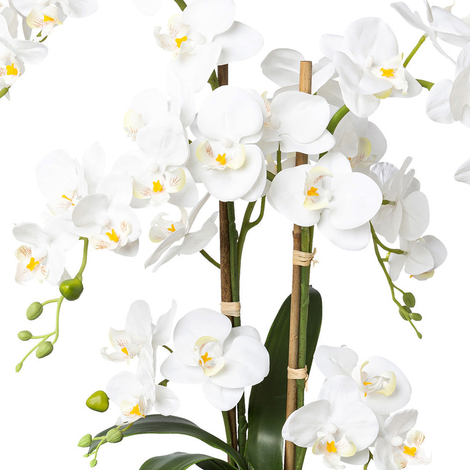 Phalaenopsis, 67cm, weiss, Real Touch, im Keramiktopf 13x15cm