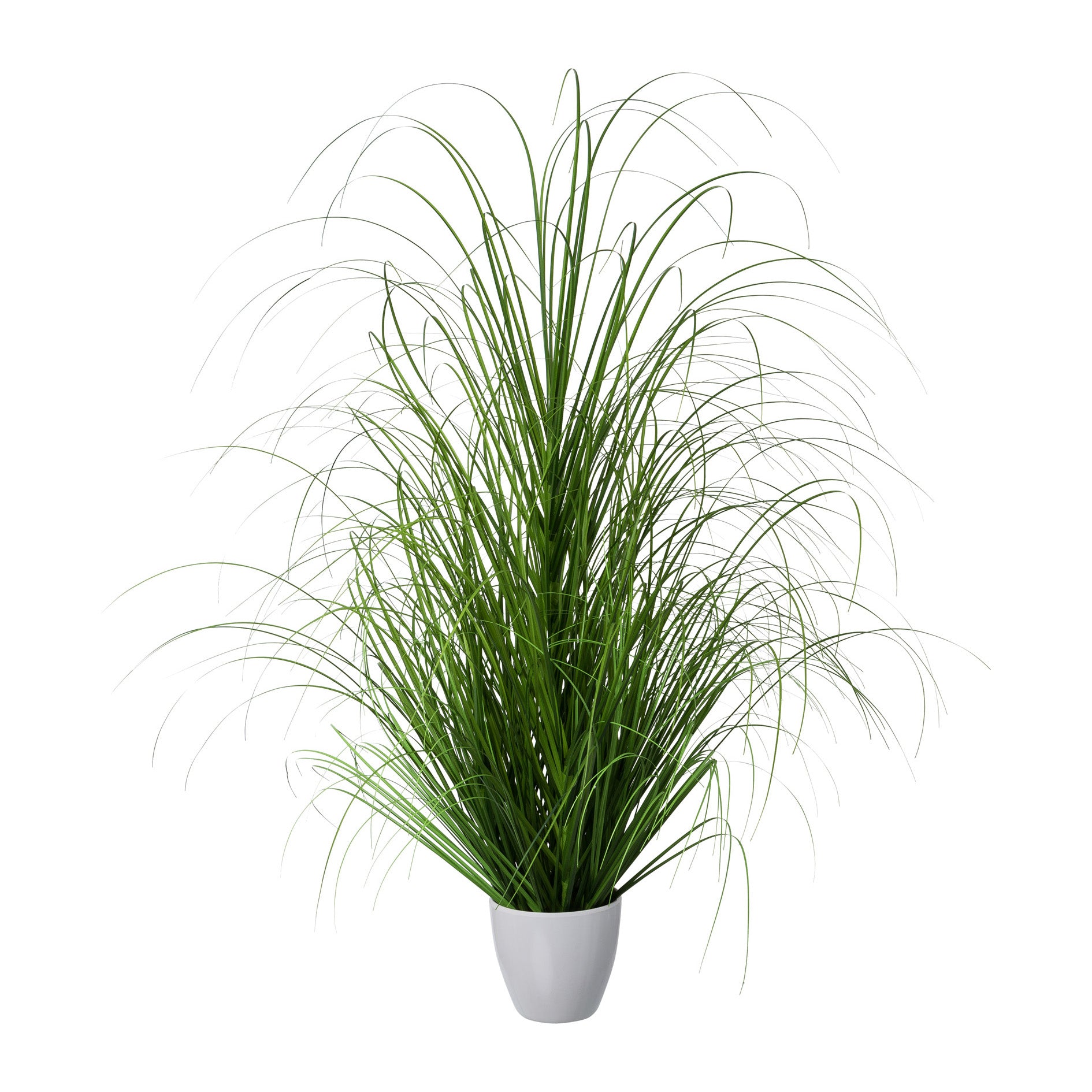 Grasbusch, 90cm, im weissen Kunststofftopf