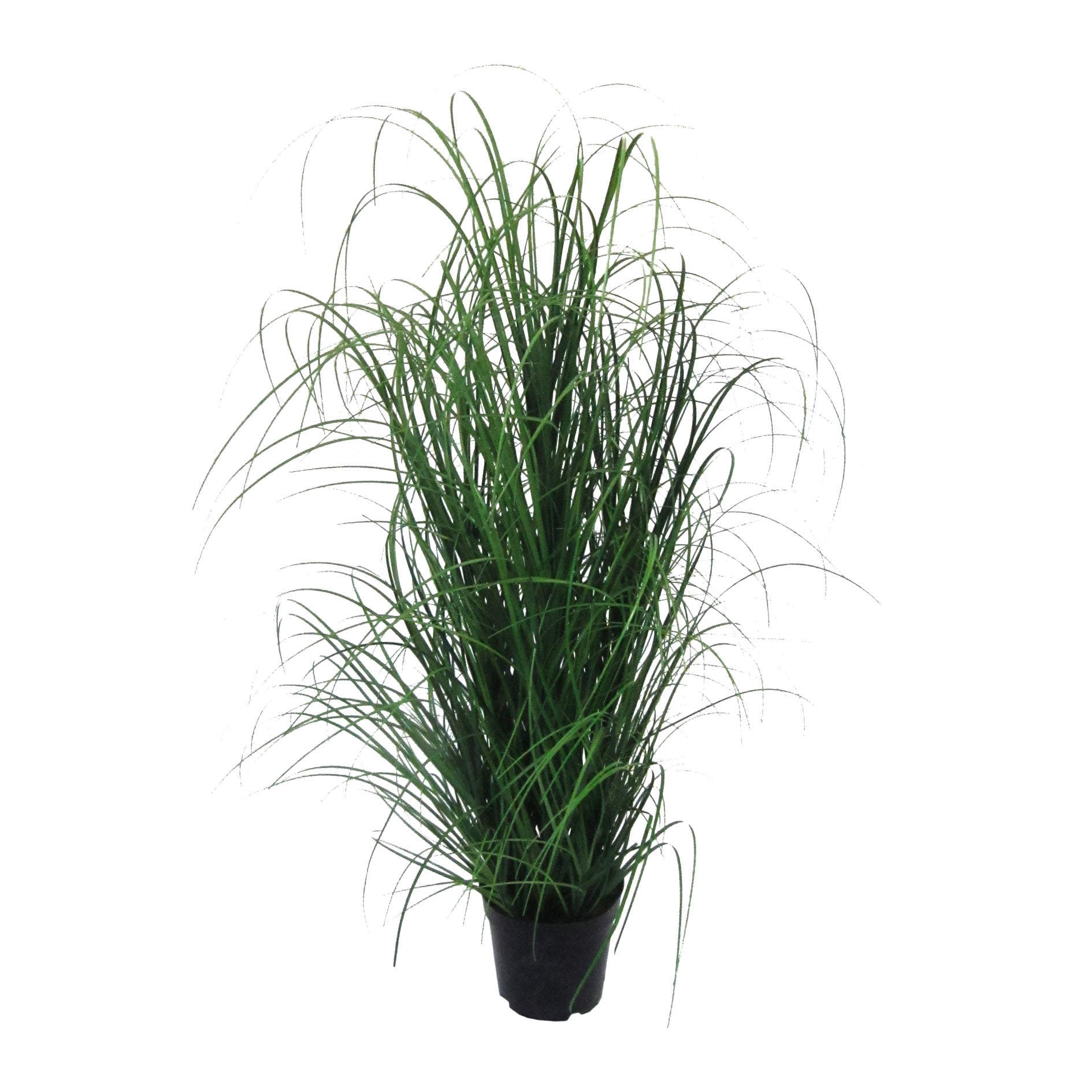 Grasbusch im Topf, 120cm