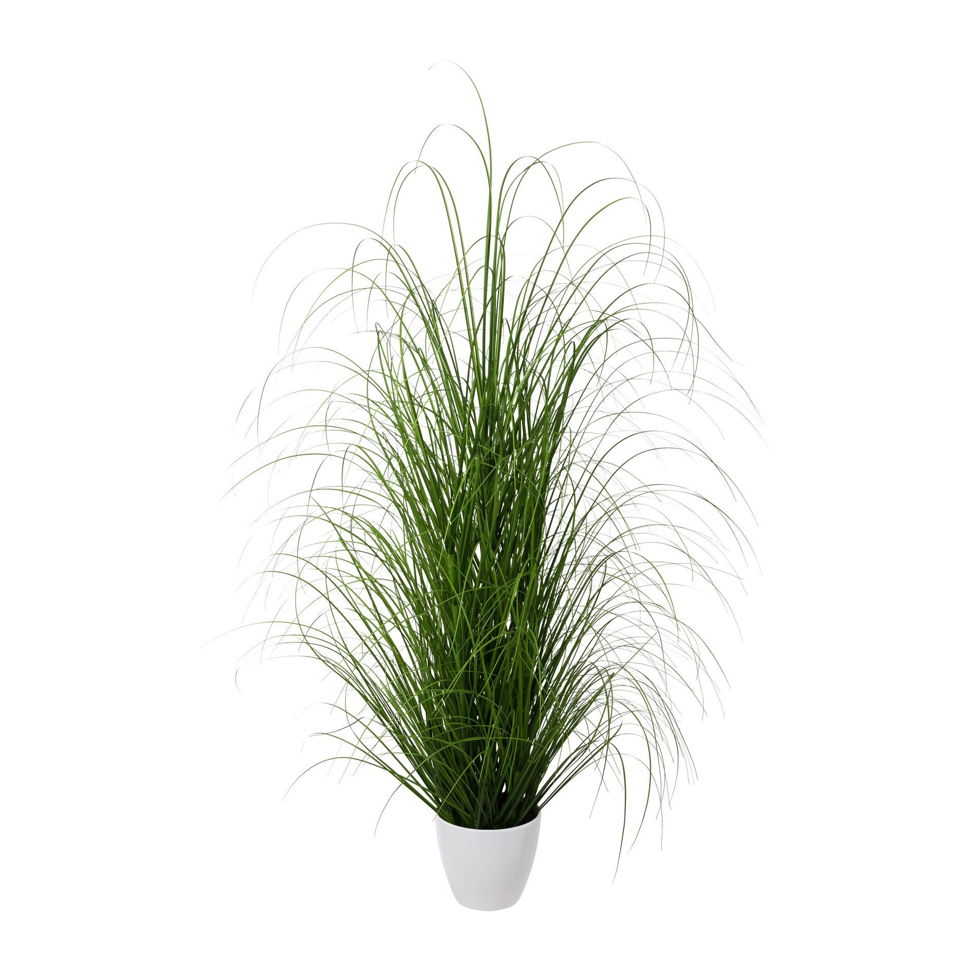 Grasbusch, 120cm, im weissen Kunststofftopf