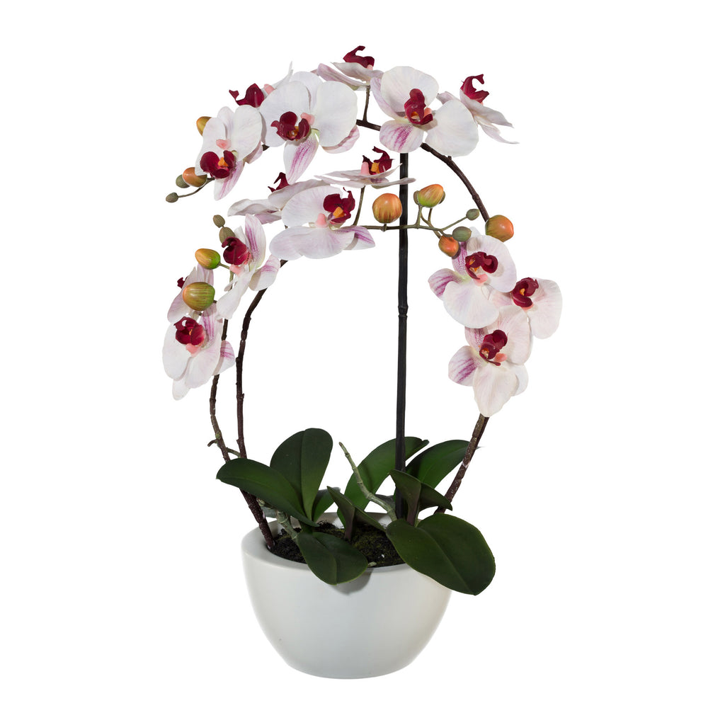 Phalaenopsis 3D-print im Keramiktopf, 52cm, rosa