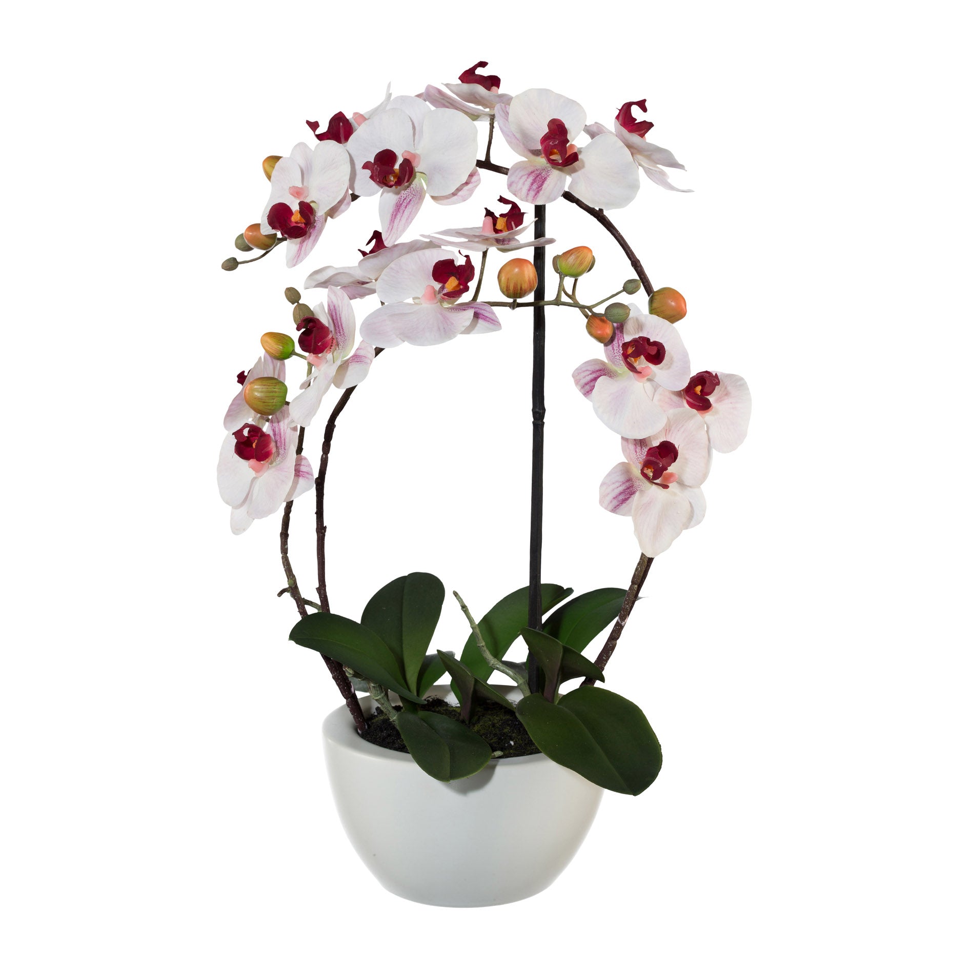 Phalaenopsis 3D-print im Keramiktopf, 52cm, rosa
