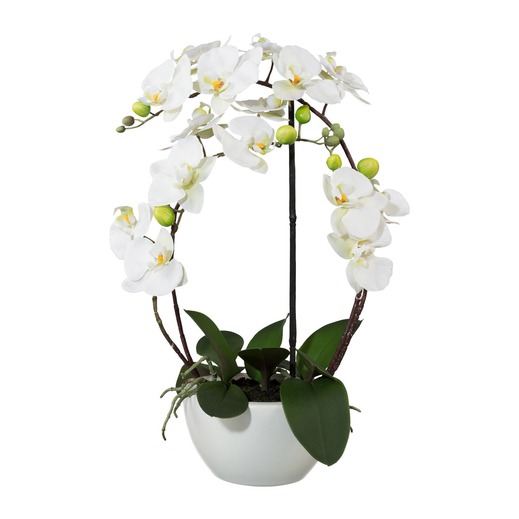 Phalaenopsis 3D-print im Keramiktopf, 52cm, weiss