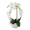 Phalaenopsis 3D-print im Keramiktopf, 52cm, weiss