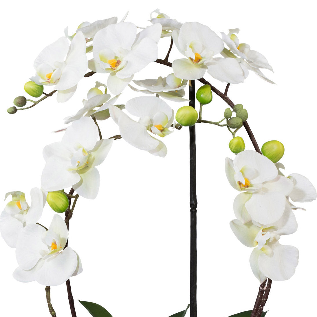 Phalaenopsis 3D-print im Keramiktopf, 52cm, weiss
