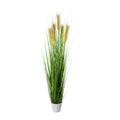 Grasbusch, 150cm, gruen, im weissen Topf