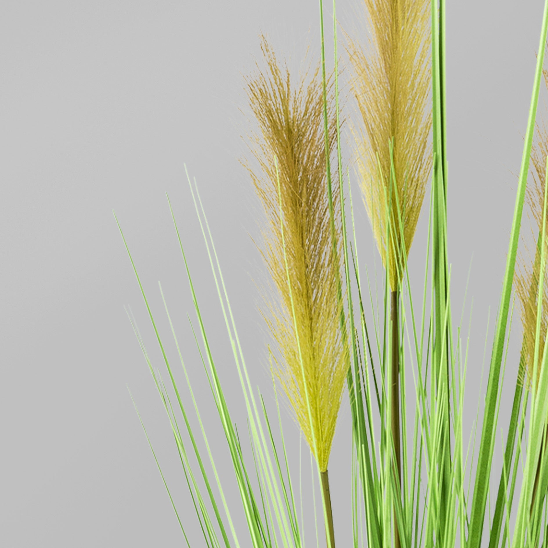 Grasbusch, 150cm, gruen, im weissen Topf