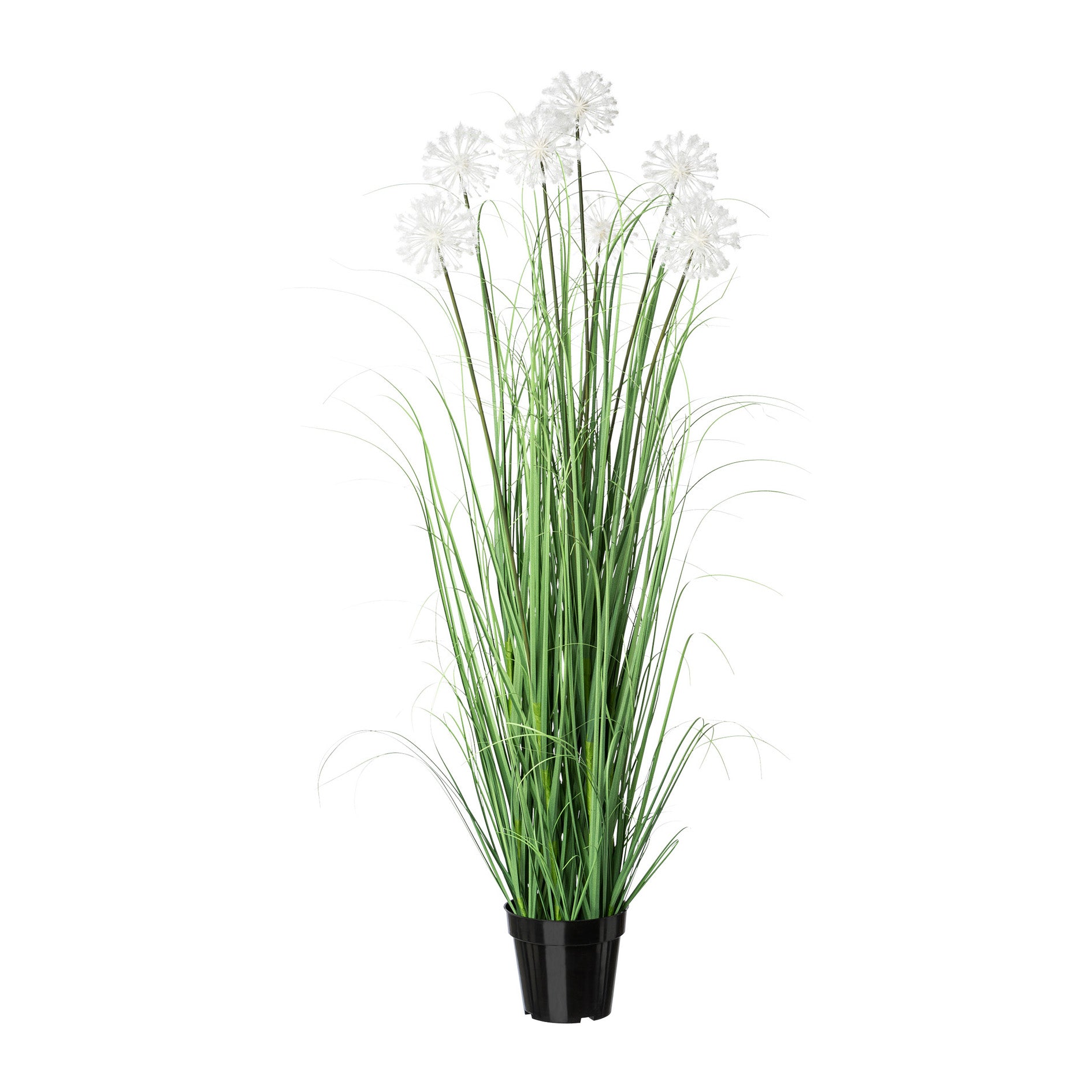 Pusteblumen im Topf, 128cm