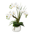 Phalaenopsis, 46cm, weiss im weissen Keramiktopf 14x10cm, Real Touch