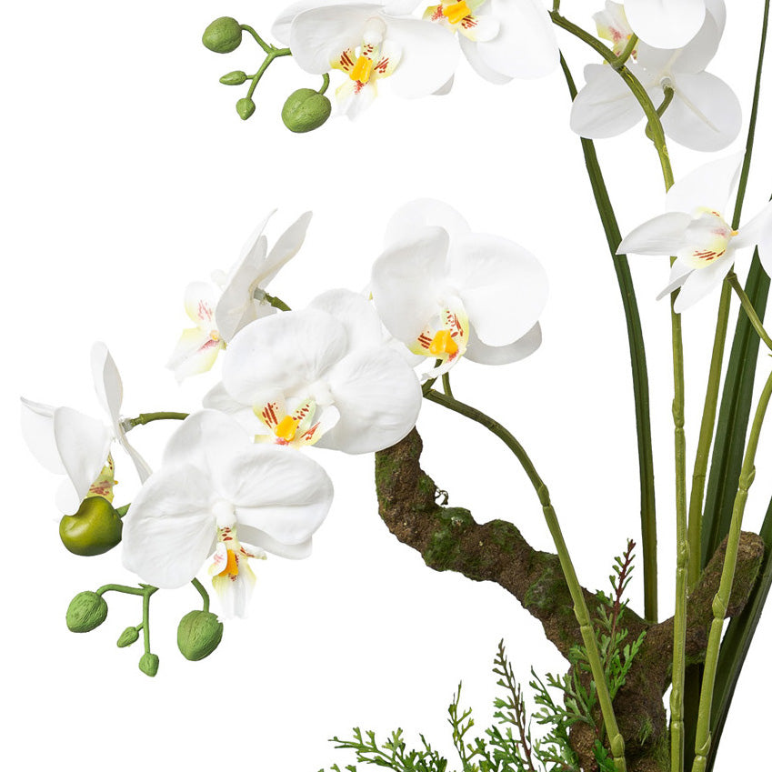 Phalaenopsis, 46cm, weiss im weissen Keramiktopf 14x10cm, Real Touch