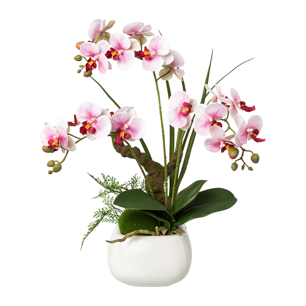Phalaenopsis, 46cm, lila, Real Touch, im Keramiktopf 14x10cm