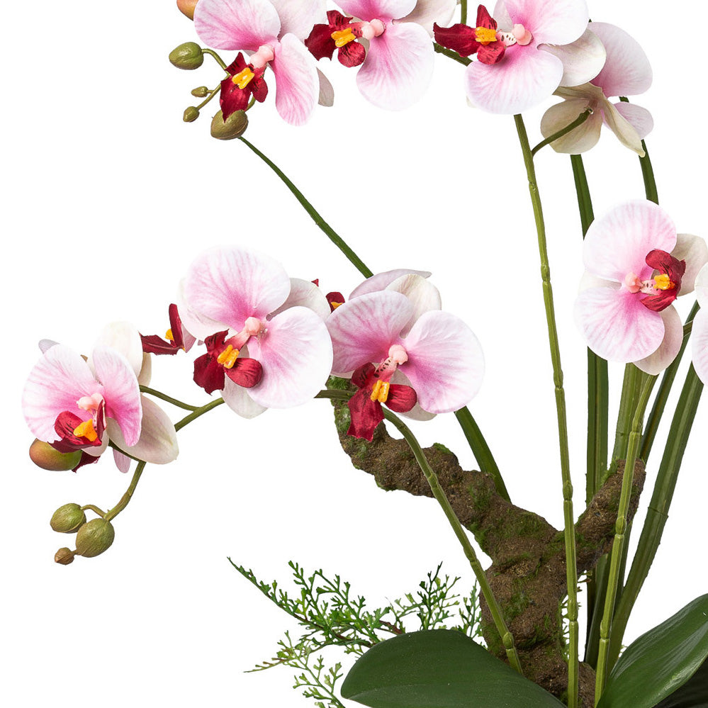Phalaenopsis, 46cm, lila, Real Touch, im Keramiktopf 14x10cm