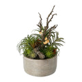 Tillandsien-Mix 35cm gruen in Zementschale 19x10cm