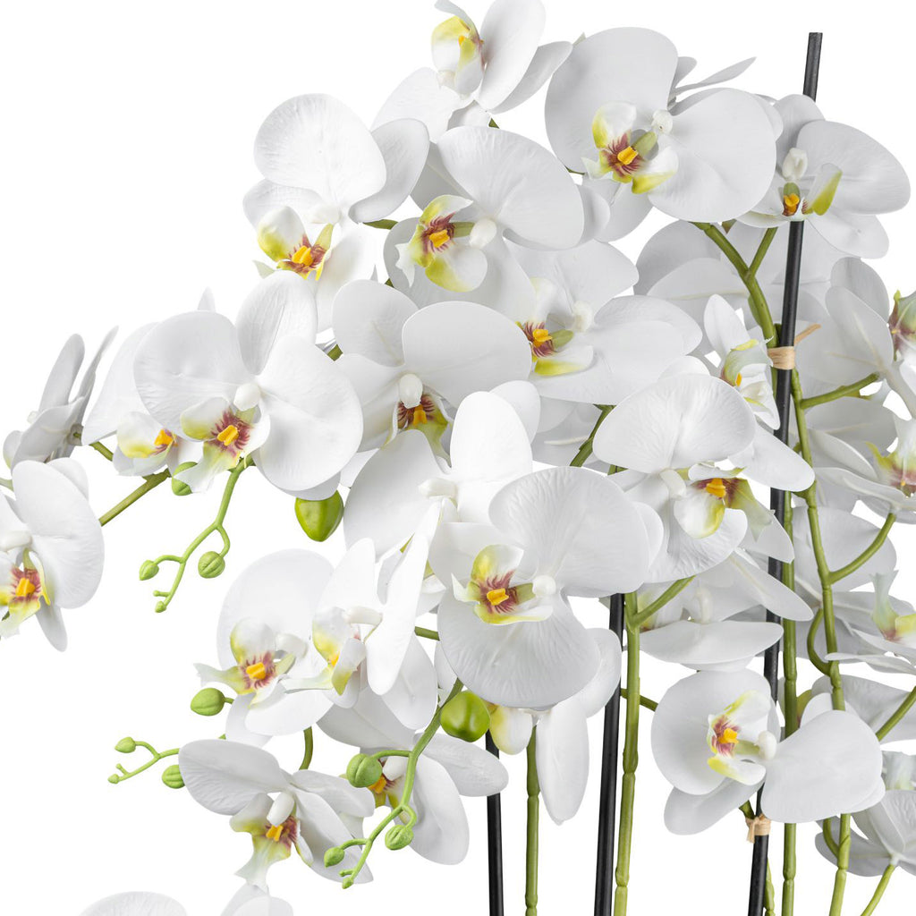 Phalaenopsis in Keramikschale, 63cm, weiss