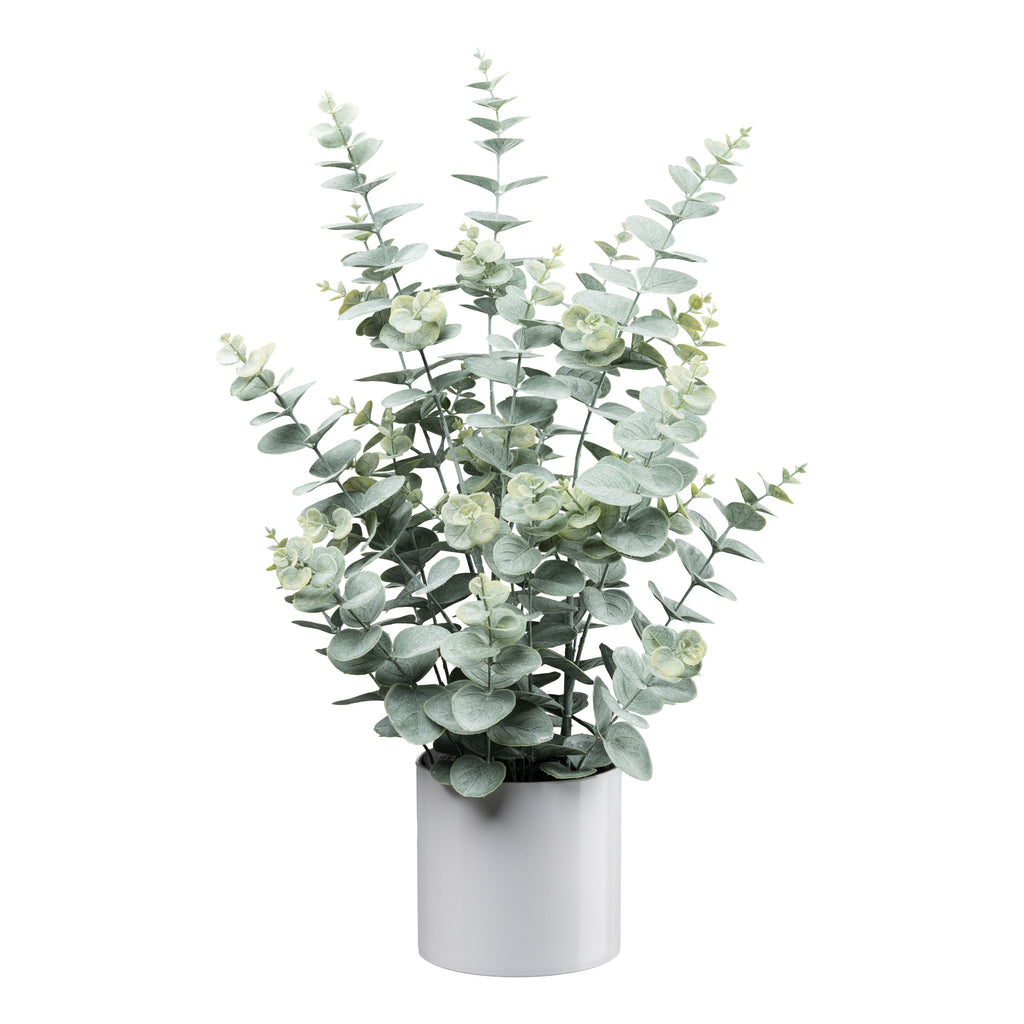 Eukalyptus im weissen Melamintopf, 66cm