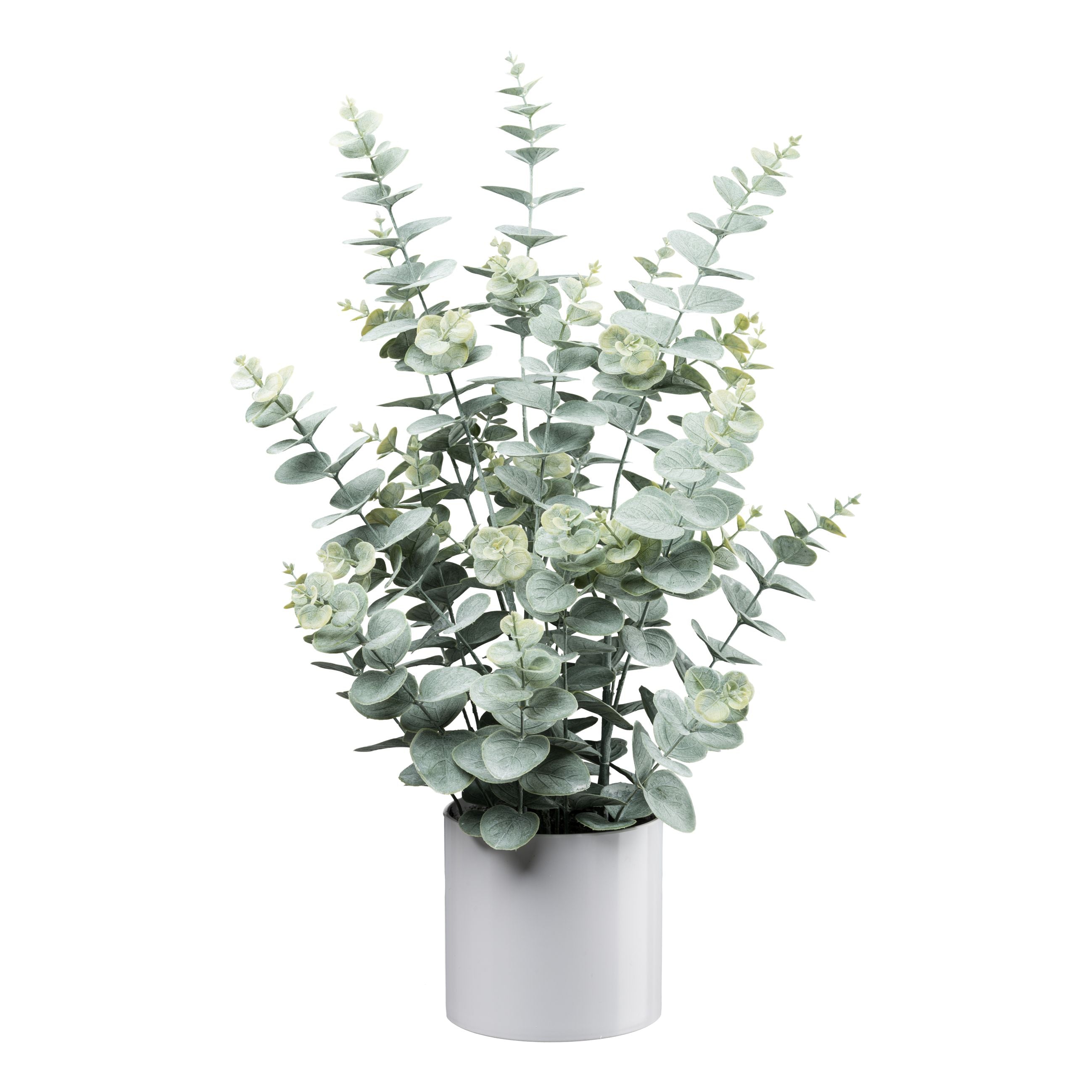 Eukalyptus im weissen Melamintopf, 66cm