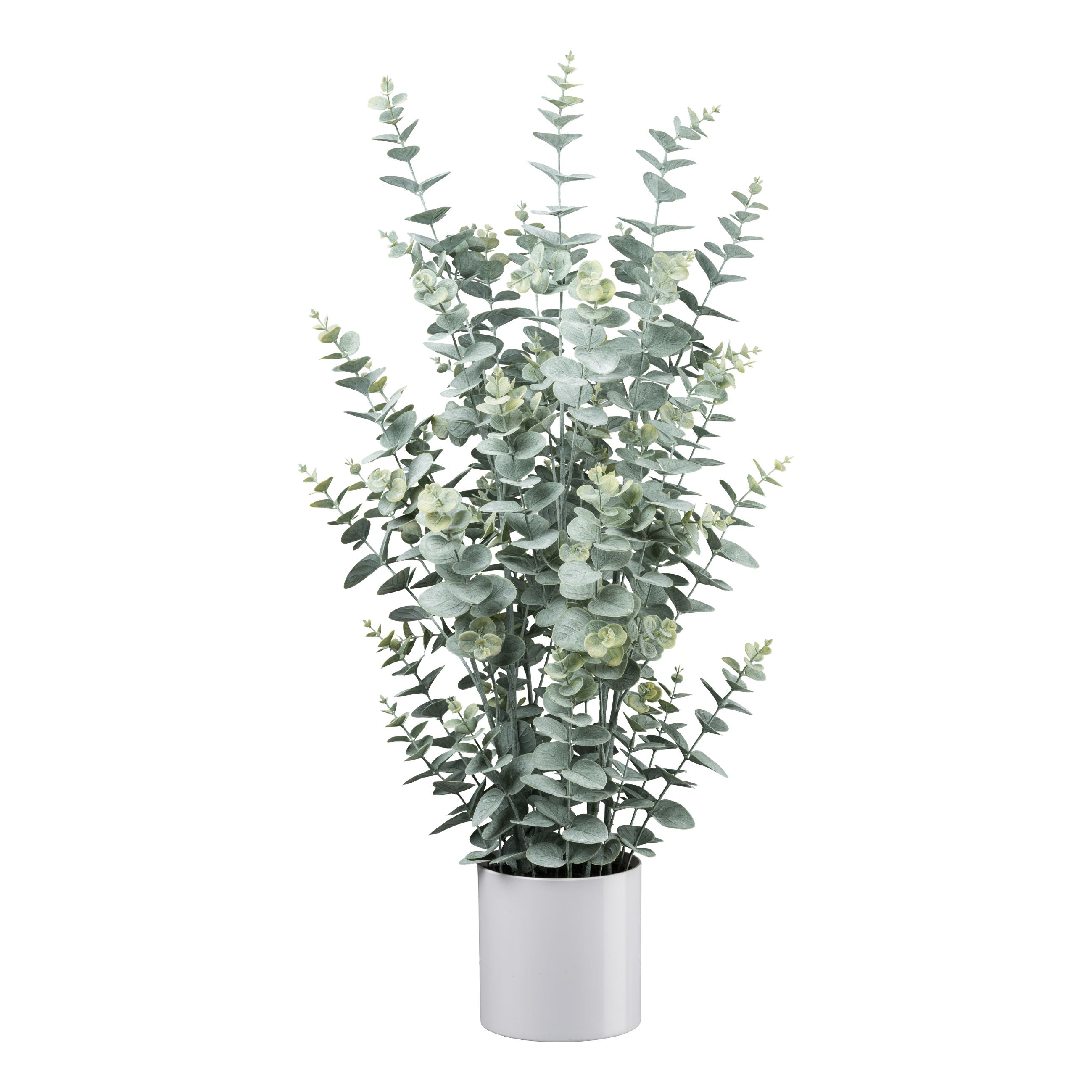 Eukalyptus, 95cm, grau-gruen, im weissen Melamintopf