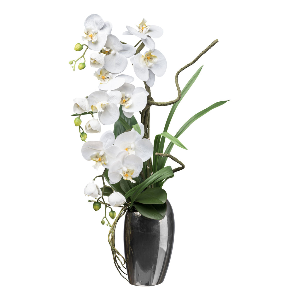 Phalaenopsis, 68cm, weiss, in Silbervase 14x10x24cm