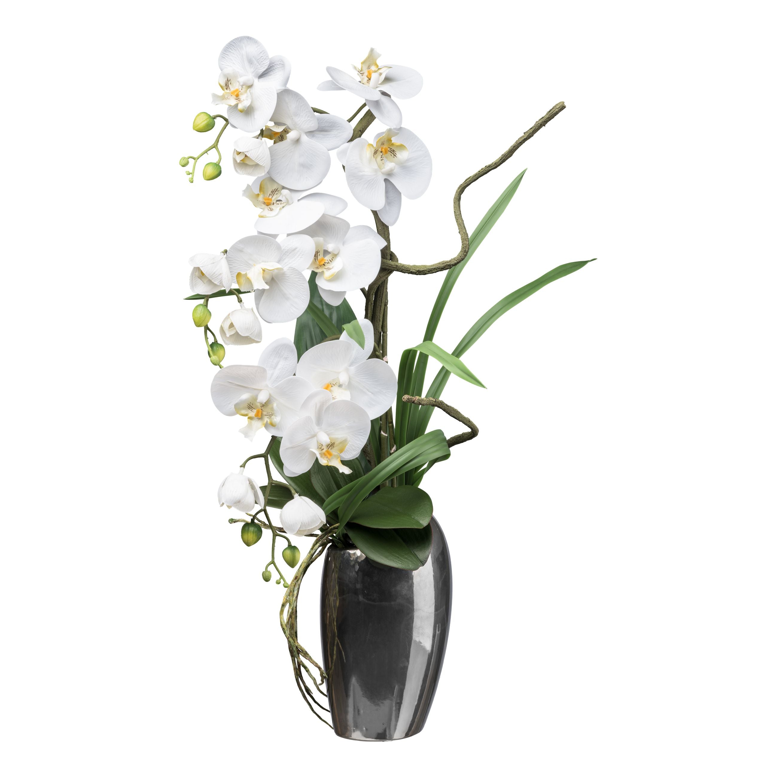 Phalaenopsis, 68cm, weiss, in Silbervase 14x10x24cm