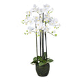 Orchidee im Erdballen, 93cm, weiss, Real Touch