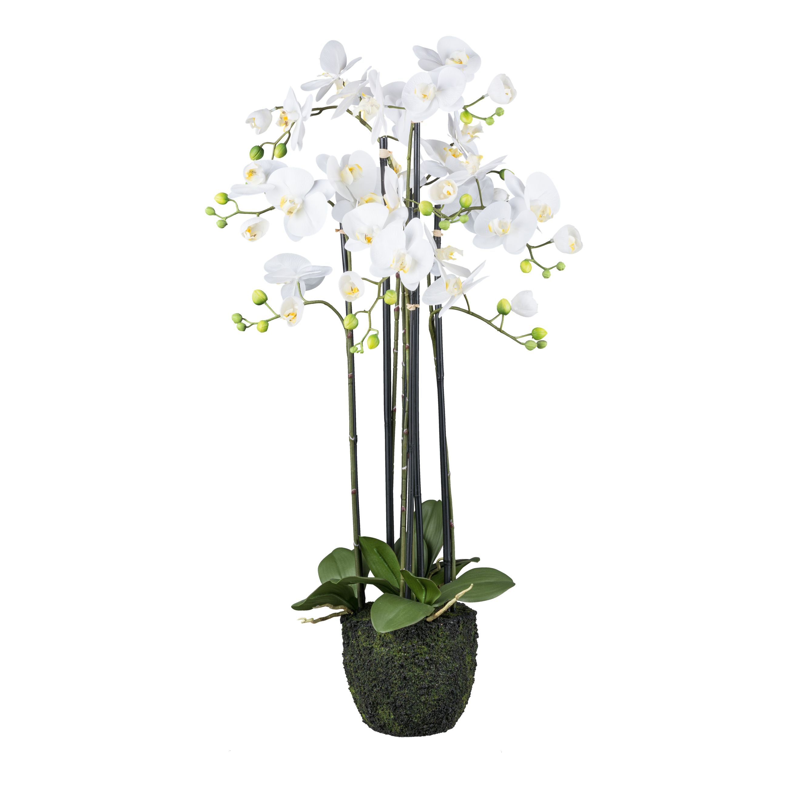 Orchidee im Erdballen, 93cm, weiss, Real Touch