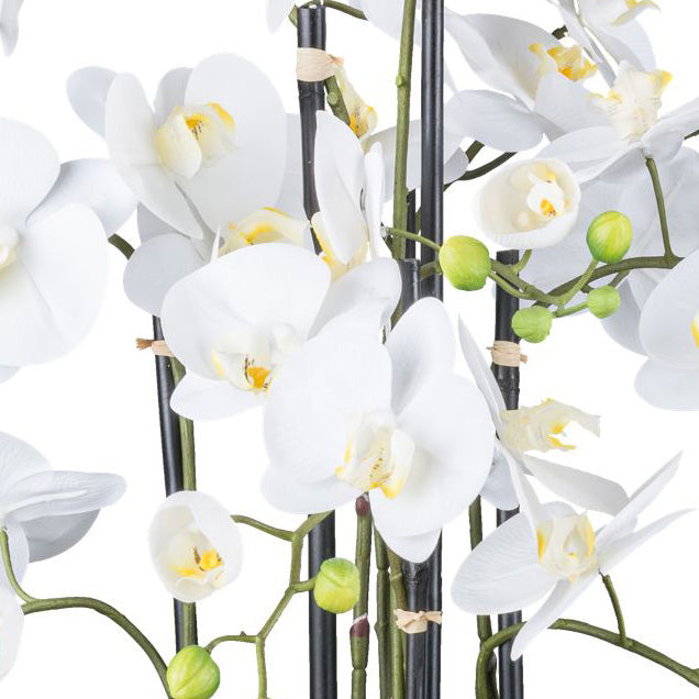 Orchidee im Erdballen, 93cm, weiss, Real Touch