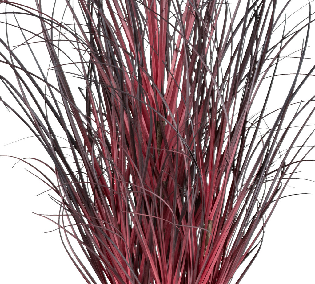 Gras im Topf, 102cm, dunkelrot
