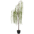 Weidenhaengebaum, 119cm, gruen, im schwarzen Kunststofftopf 14x14x13cm