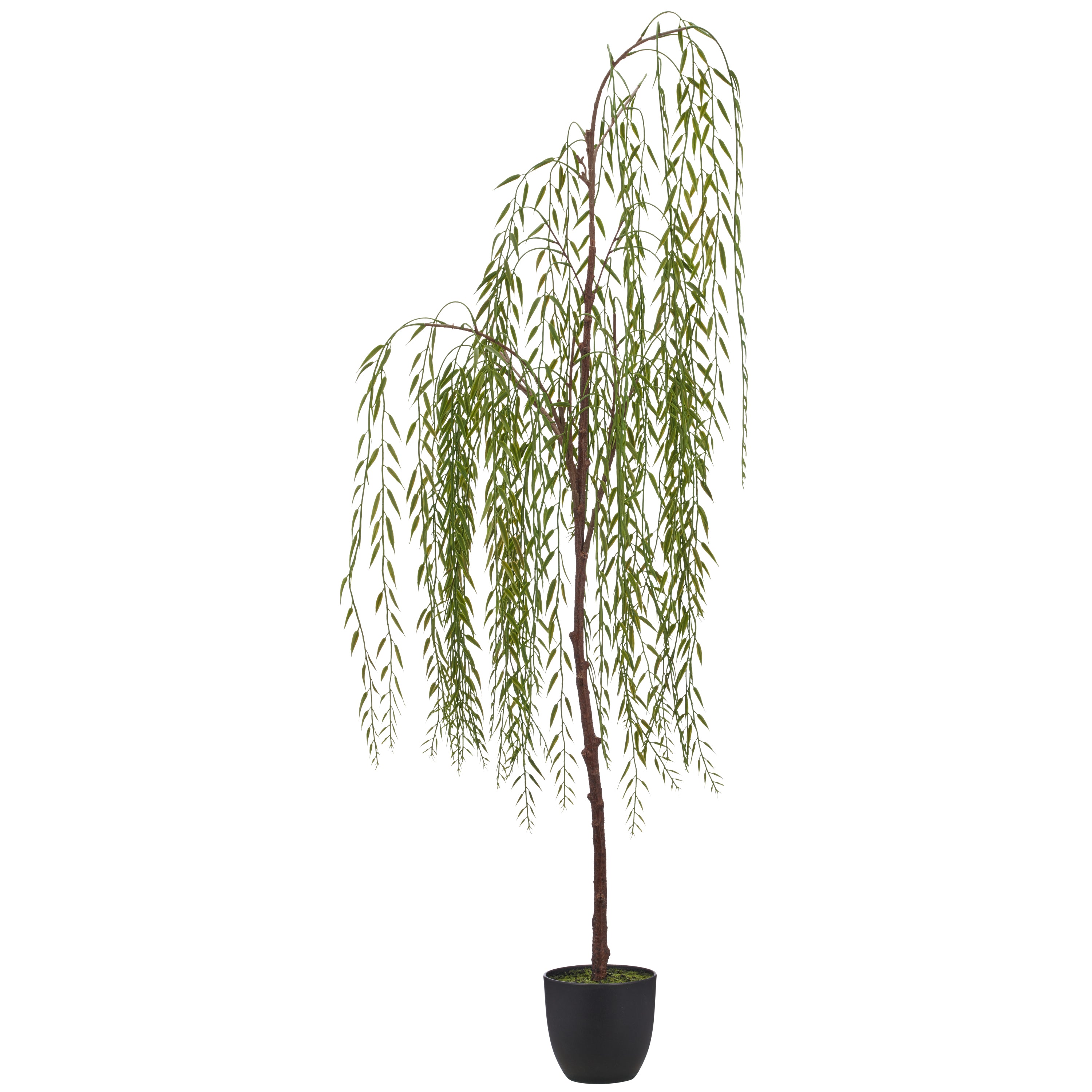 Weidenhaengebaum, 119cm, gruen, im schwarzen Kunststofftopf 14x14x13cm