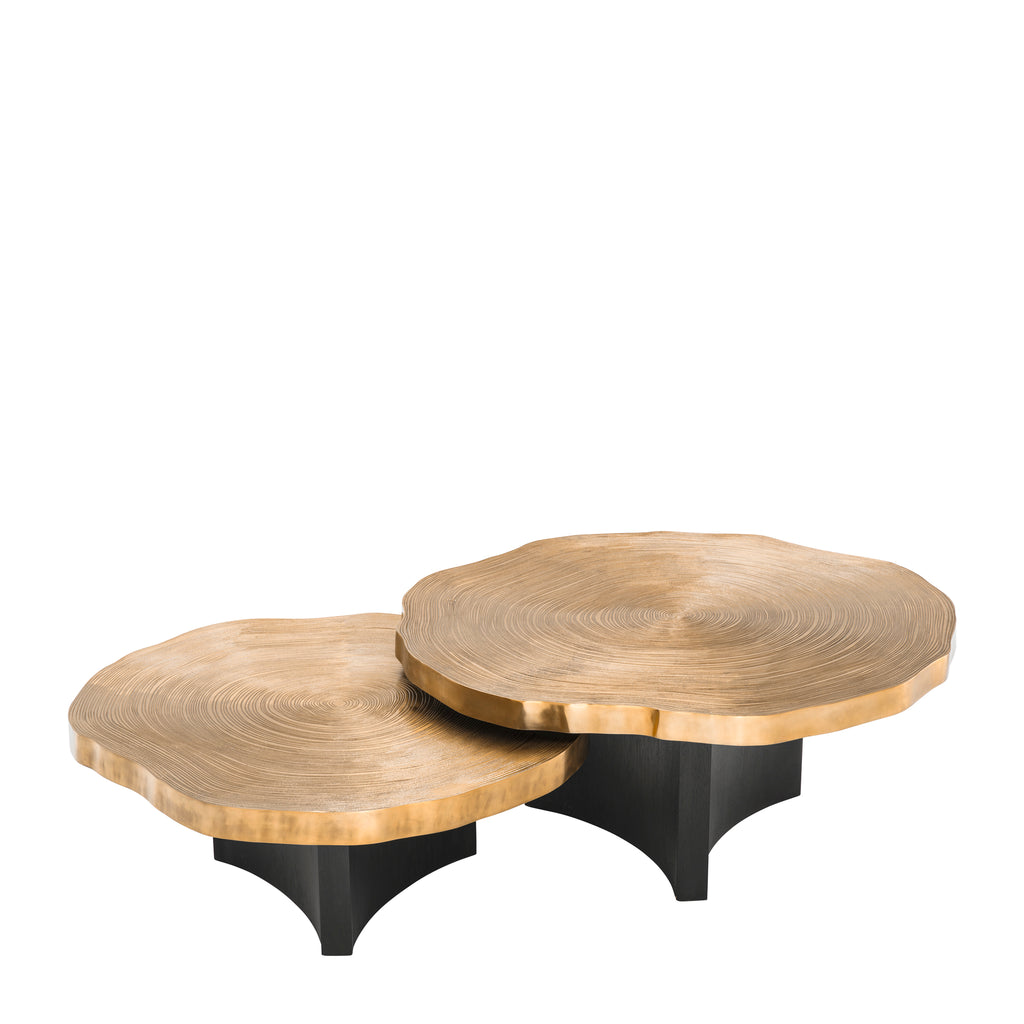 Couchtisch-Set Thousand Oaks (2-tlg.)