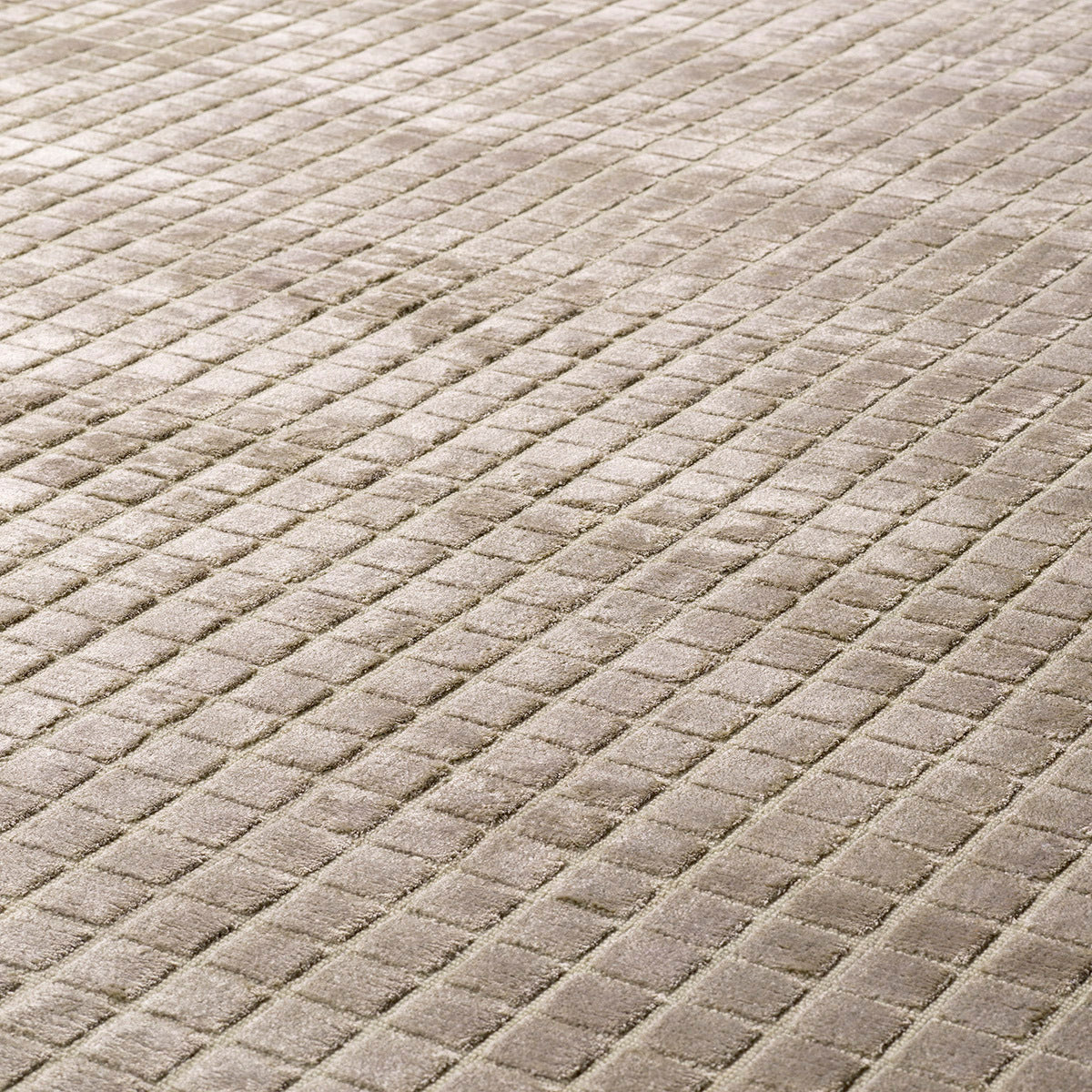Teppich Crown 300 x 400 cm