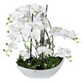 Phalaenopsisarrangement, 68cm weiss, in Keramikschale 45x25cm weiss, Real Touch